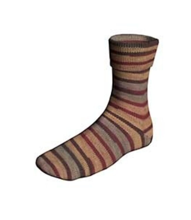 Lang Yarns - Super SOXX Color PainterlySoxx 4 ply 901.0550