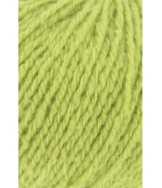 Lang Yarns Lang Yarns - Spirit 1190.0116