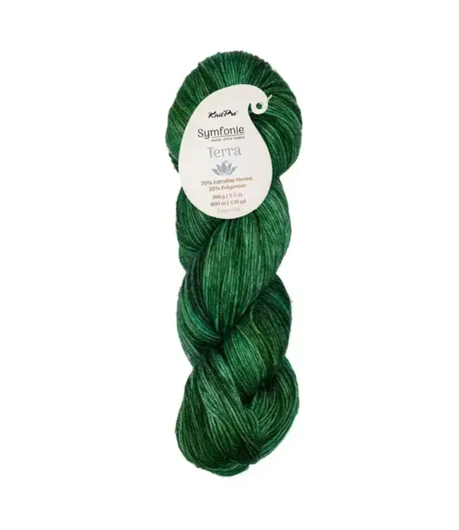 KnitPro - Symfonie Terra Variegated Fernfall VR2099