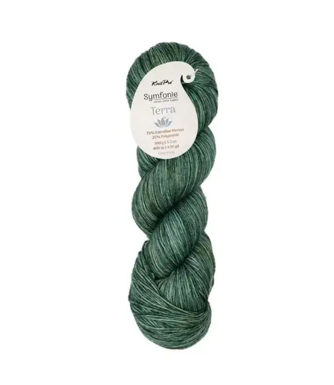KnitPro - Symfonie Terra Variegated Willow VR2091