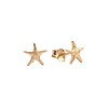 All the Luck in the World Parade Goldplated Earrings Starfish