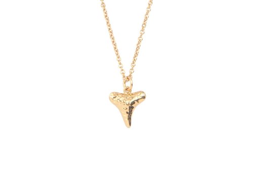 All the Luck in the World Souvenir Goldplated Ketting Tand