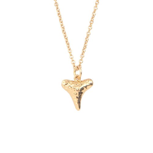 Souvenir Goldplated Necklace Tooth 