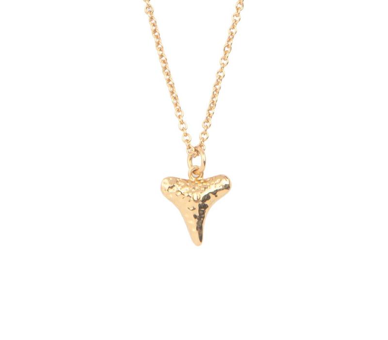 Souvenir Goldplated Ketting Tand