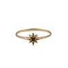 All the Luck in the World Bliss Goldplated Ring Ster Zwart