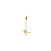 Souvenir Goldplated Oorbel Starburst