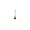 Bliss Goldplated Oorbel Hook Black Onyx