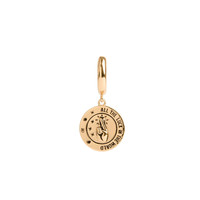 Charm Goldplated Oorbel All the Luck Cirkel