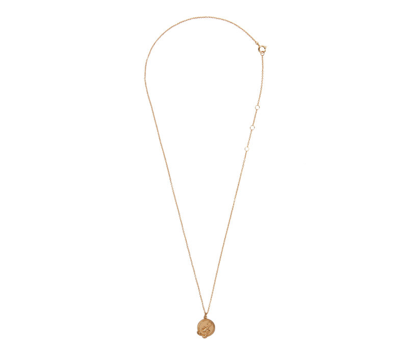 Charm Goldplated Ketting Schorpioen Cirkel