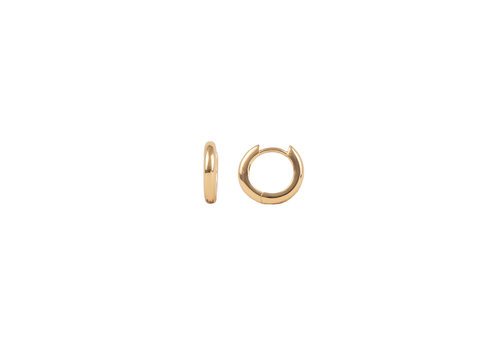 All the Luck in the World Essentials Goldplated Hoop Huggie Egaal Mini