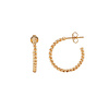Essentials Goldplated Hoop Steker Klein Gedraaid