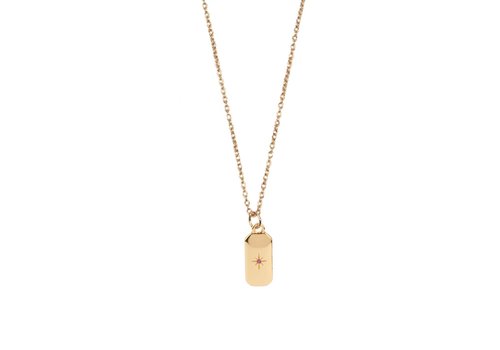 All the Luck in the World Aimé Goldplated Necklace Rectangle Star Pink