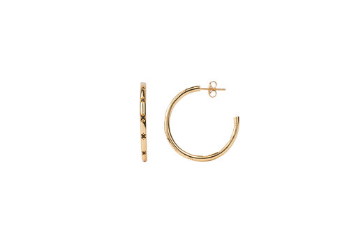 All the Luck in the World Aimé Goldplated Hoop Ster Zwart Medium