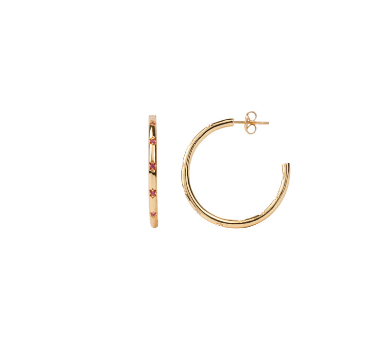 Aimé Goldplated Hoop Ster Rose Medium