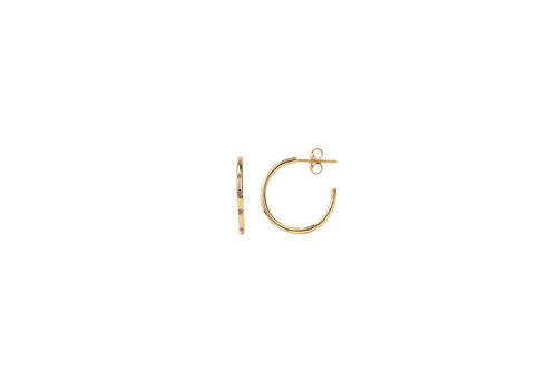 All the Luck in the World Aimé Goldplated Hoop Ster Amethist Small