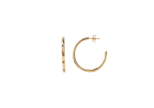 All the Luck in the World Aimé Goldplated Hoop Ster Amethist Medium