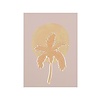Postcard  Palm