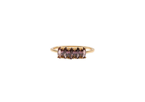 All the Luck in the World Jolie Ring Goldplated Sterling Silver Oval Bar Rhodolite