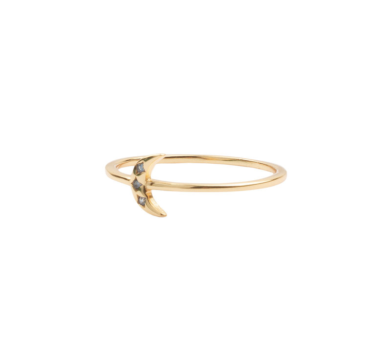 Jolie Ring Goldplated Sterling Zilver Maan Tanzaniet