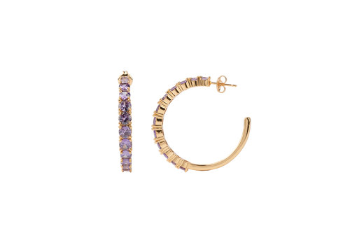 All the Luck in the World Aimé Goldplated  Hoop Big Gem