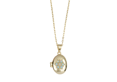 All the Luck in the World Sunlight Goldplated Ketting Medaillon Blauwe Bloem