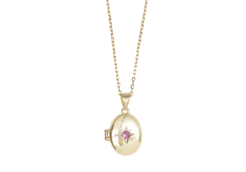 All the Luck in the World Sunlight Goldplated Ketting Medaillon Roze Ster