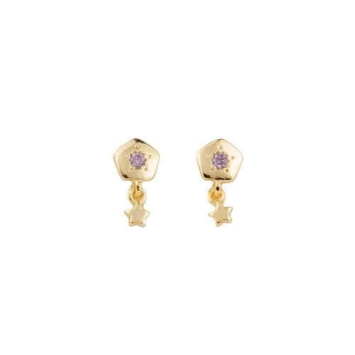 Sunlight Goldplated Studs Zirconia Star 