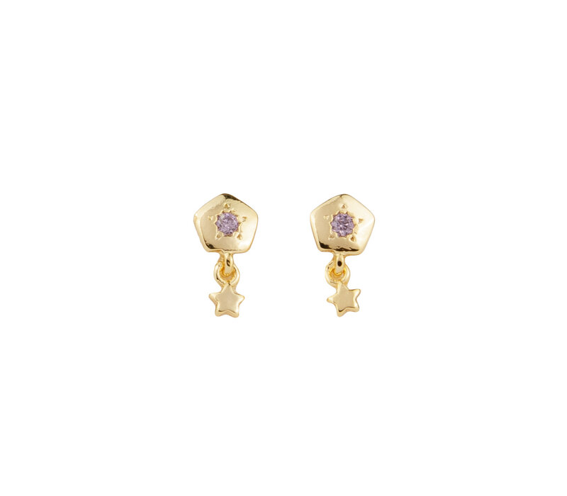 Sunlight Goldplated Studs Zirconia Ster