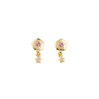 Sunlight Goldplated Studs Zirconia Star