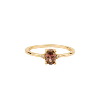 Oasis Goldplated Ring Simpel Ovaal Paars
