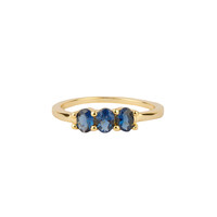 Oasis Goldplated Ring Zirkonia Ovaal Bar Donkerblauw