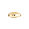 All the Luck in the World Oasis Goldplated Ring Rond Basic Groot