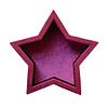 All the Luck in the World Pink Star Velvet Display