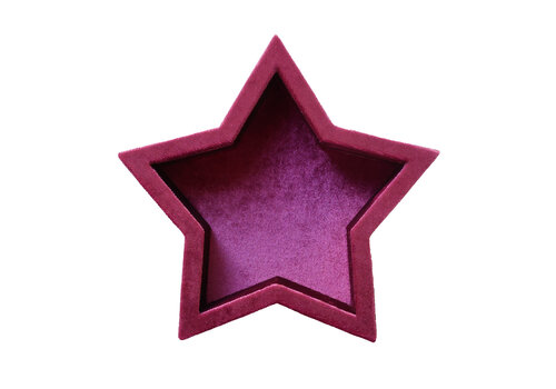 All the Luck in the World Pink Star Velvet Display