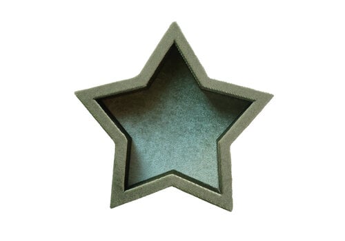 All the Luck in the World Sage Green Star Velvet Display