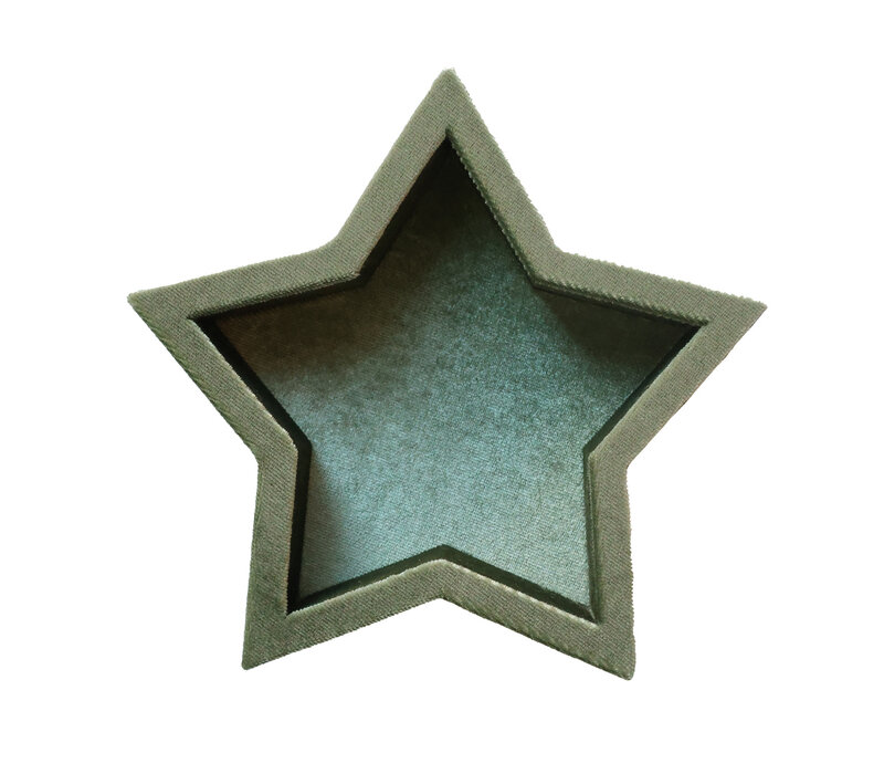 Sage Green Star Velvet Display