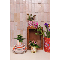 Flowerpot Striped Peach White