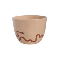 Large Sand Cup Snake