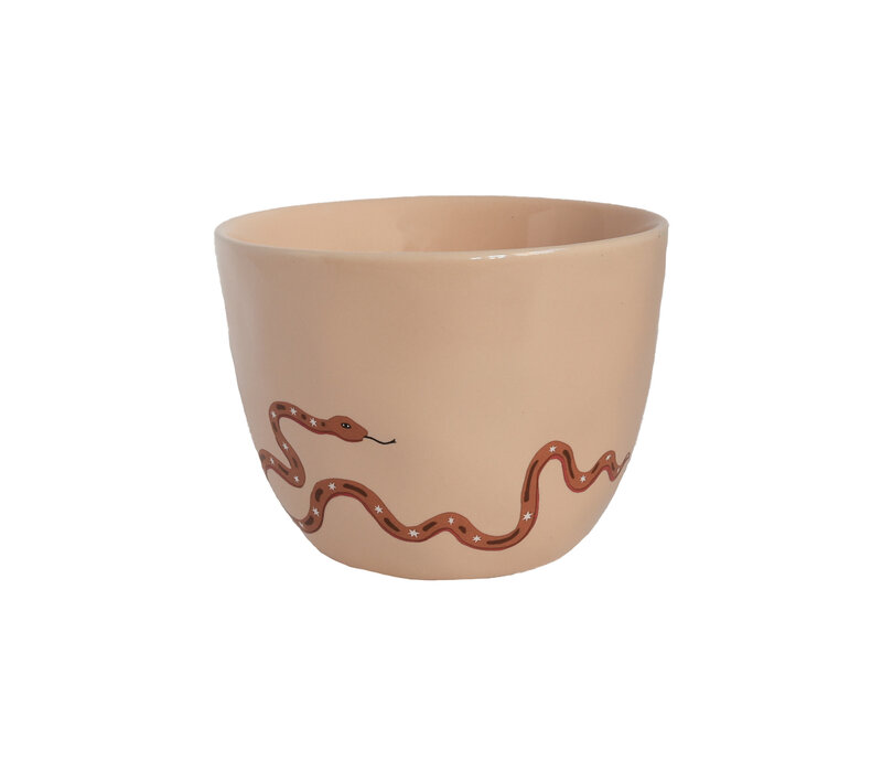 Large Sand Cup Snake