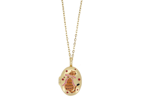 All the Luck in the World Medaillon Ketting Medium - Luipaard