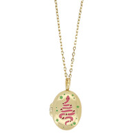 Medaillon Ketting Medium - Slang