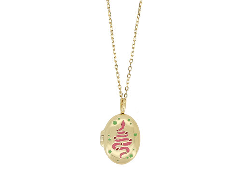 All the Luck in the World Medaillon Ketting Medium - Slang