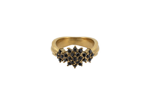 All the Luck in the World Ring Kleine Stenen Bloem - Zwart