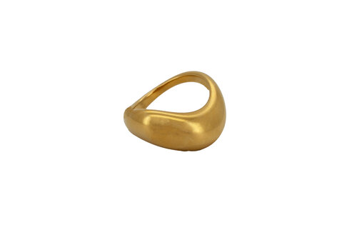 All the Luck in the World Grote Organic Ring