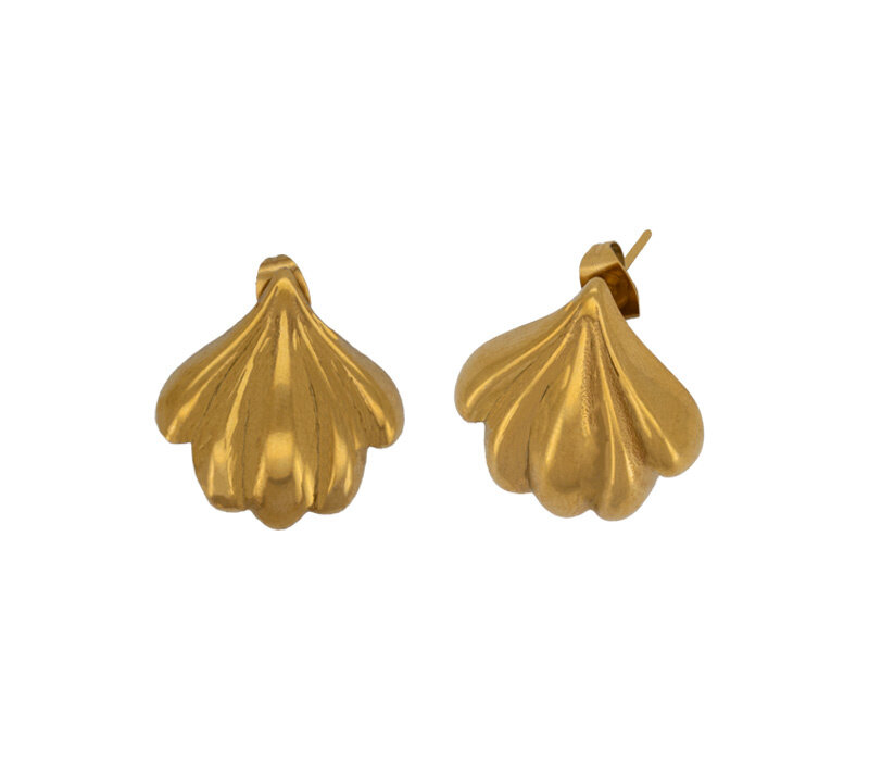 Shell Earrings