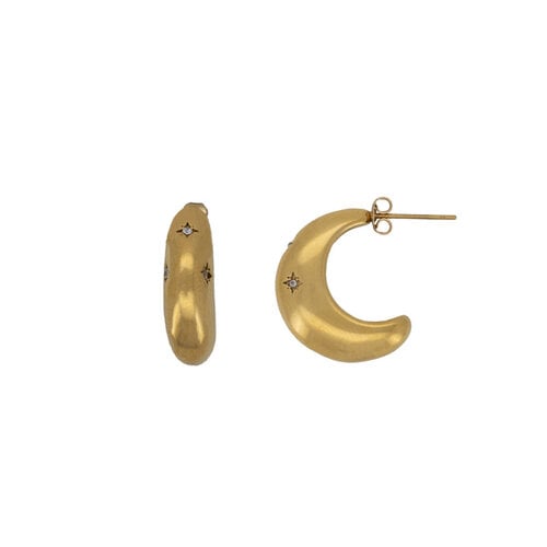 Moon Shinning Star Earrings 