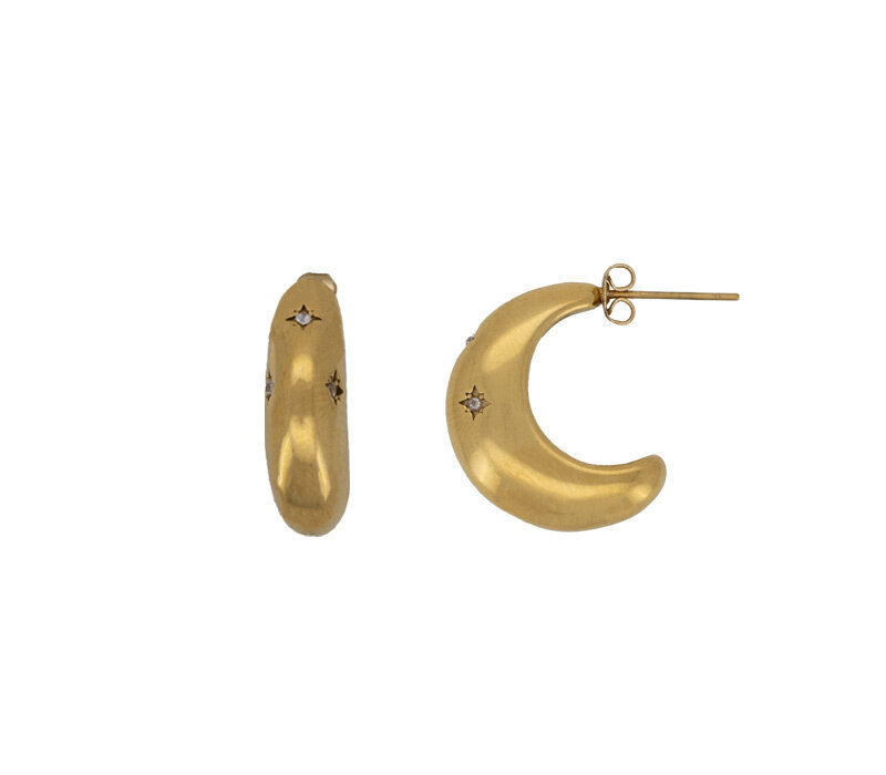 Moon Shinning Star Earrings