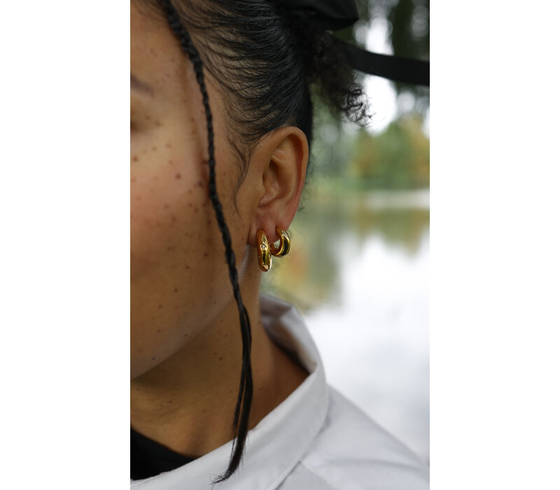 Moon Shinning Star Earrings