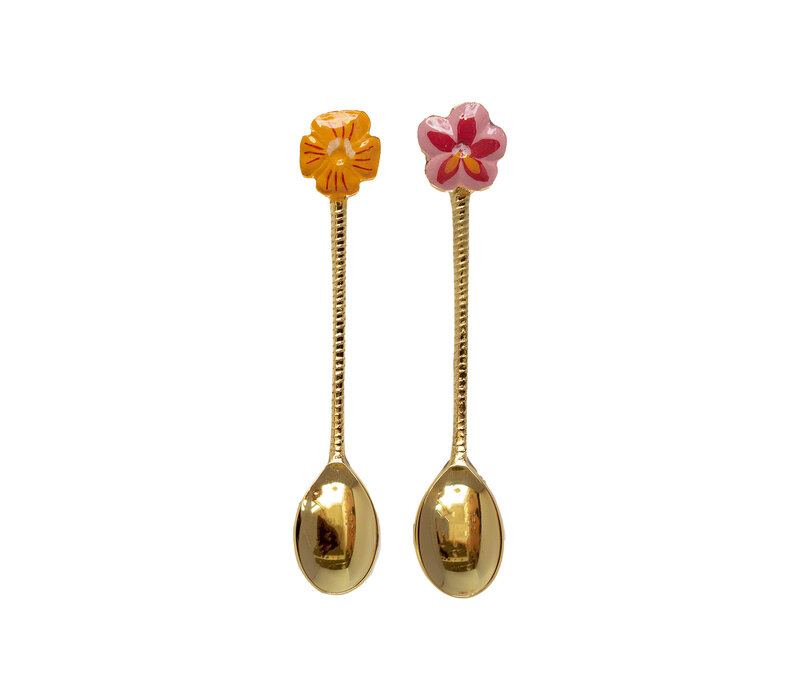 Messing Lepelset - Oranje en Roze Bloem