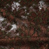 Lace flowers Brown - army green Lace flowers Brown - army green